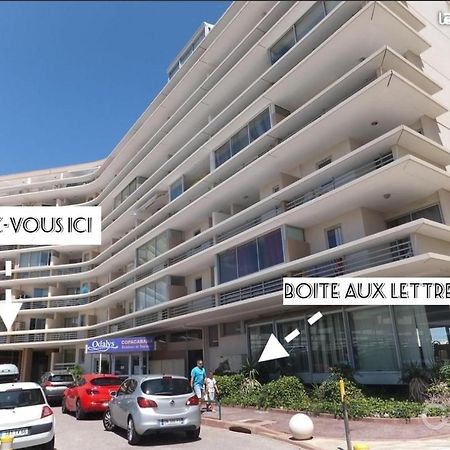 Appart Face A La Mer Les Pieds Dans L'Eau Canet-en-Roussillon Exterior photo